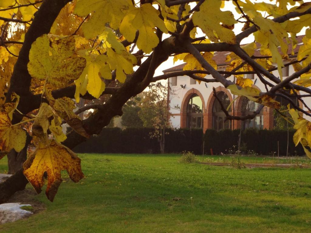 Agriturismo La Risarona Grumolo delle Abbadesse Exterior foto